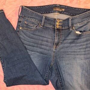 Torrid Dark Blue Skinny Jeans